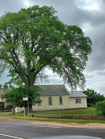 Original photograph with tree